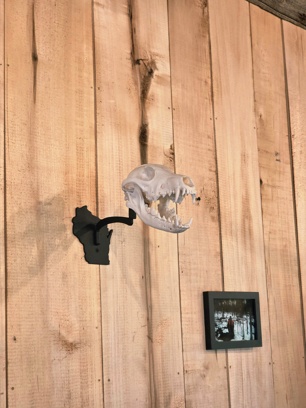 Wisconsin - Swivel Skull Hanger