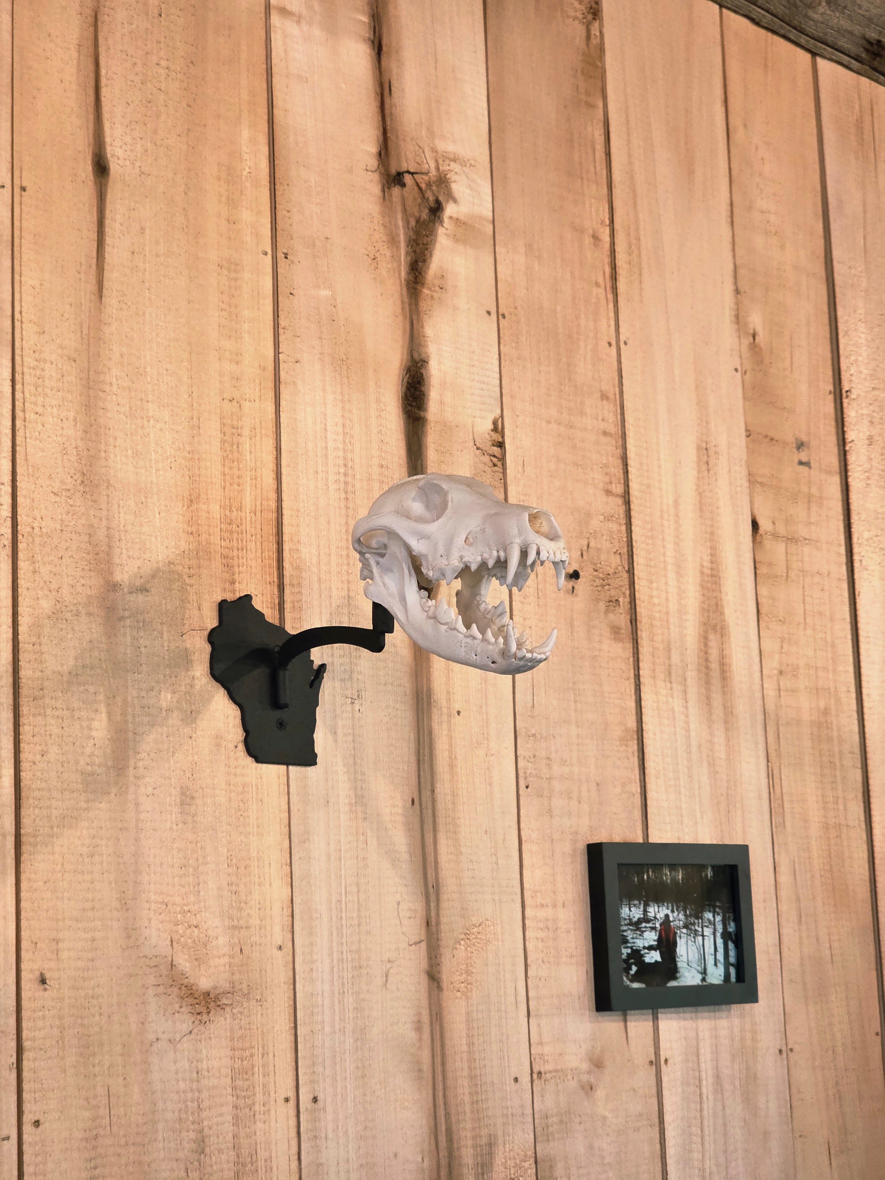 Wisconsin - Swivel Skull Hanger