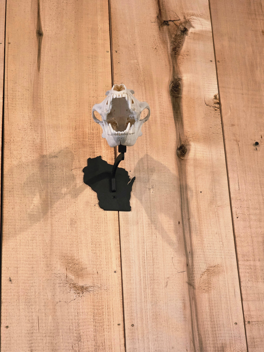 Wisconsin - Swivel Skull Hanger