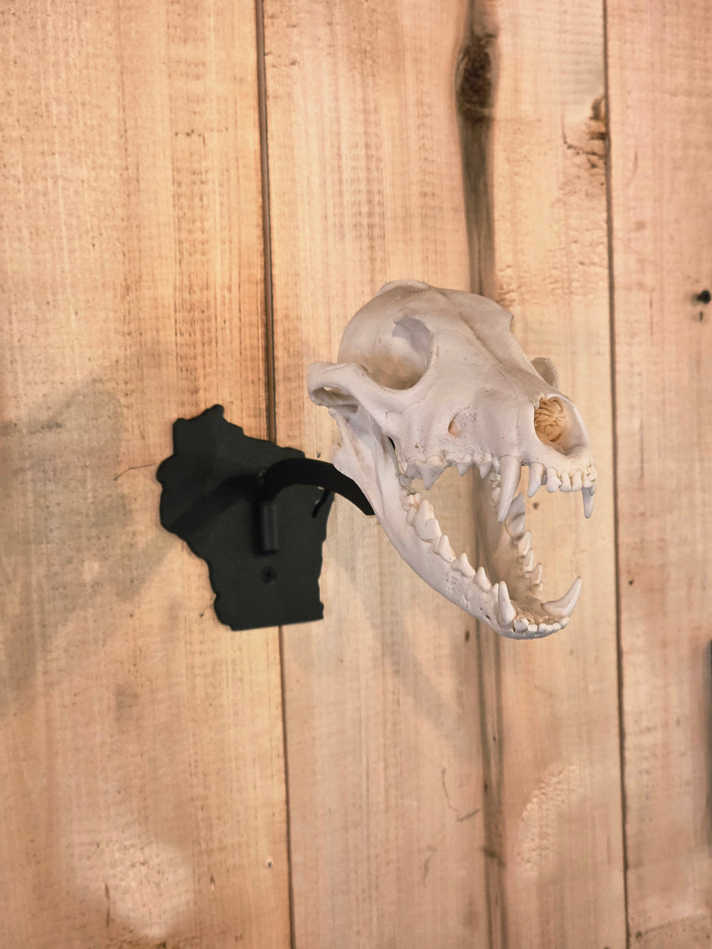 Wisconsin - Swivel Skull Hanger