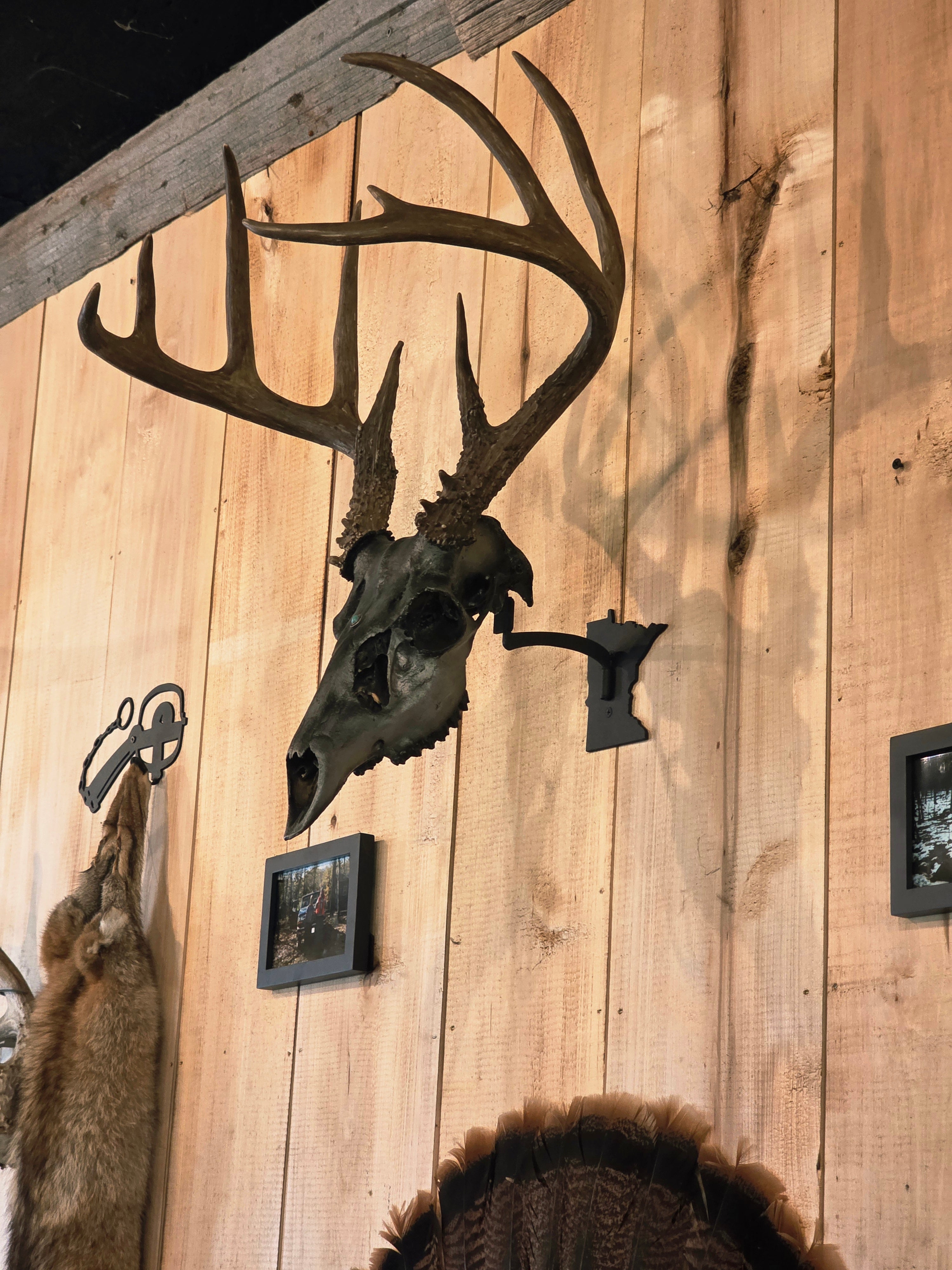 Minnesota - Swivel Skull Hanger