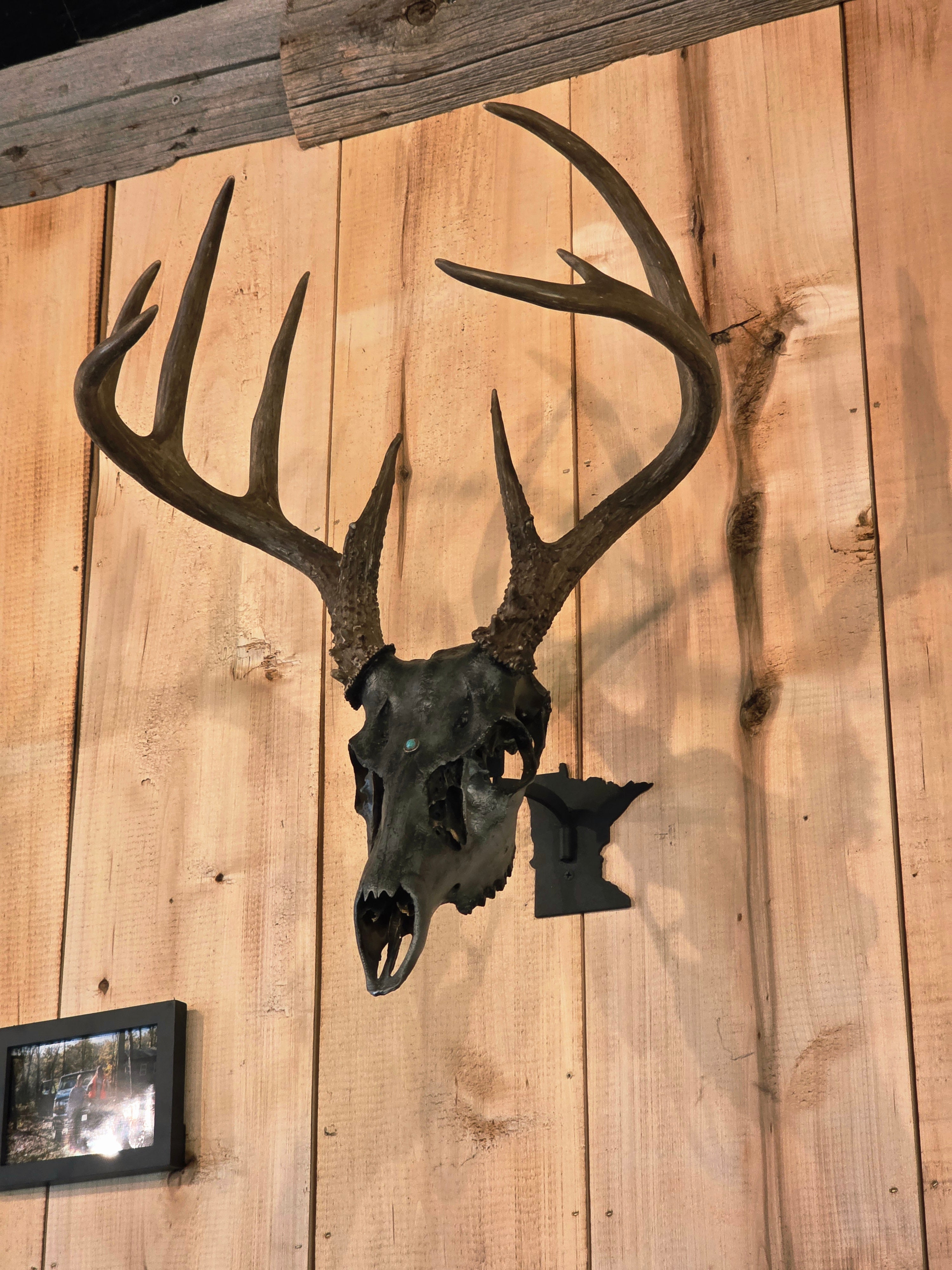 Minnesota - Swivel Skull Hanger