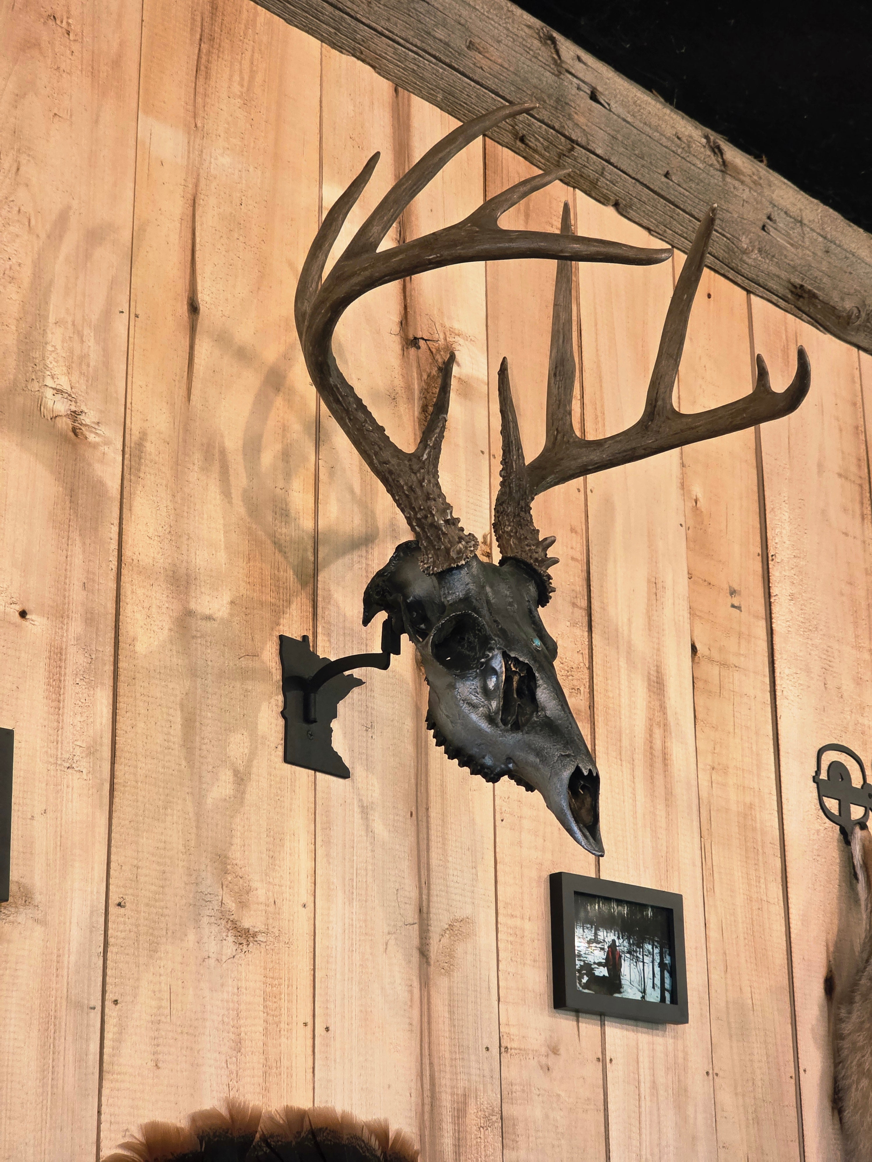 Minnesota - Swivel Skull Hanger