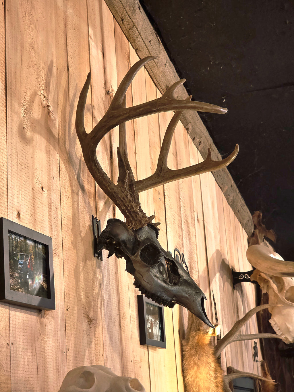 Original - Skull Hanger