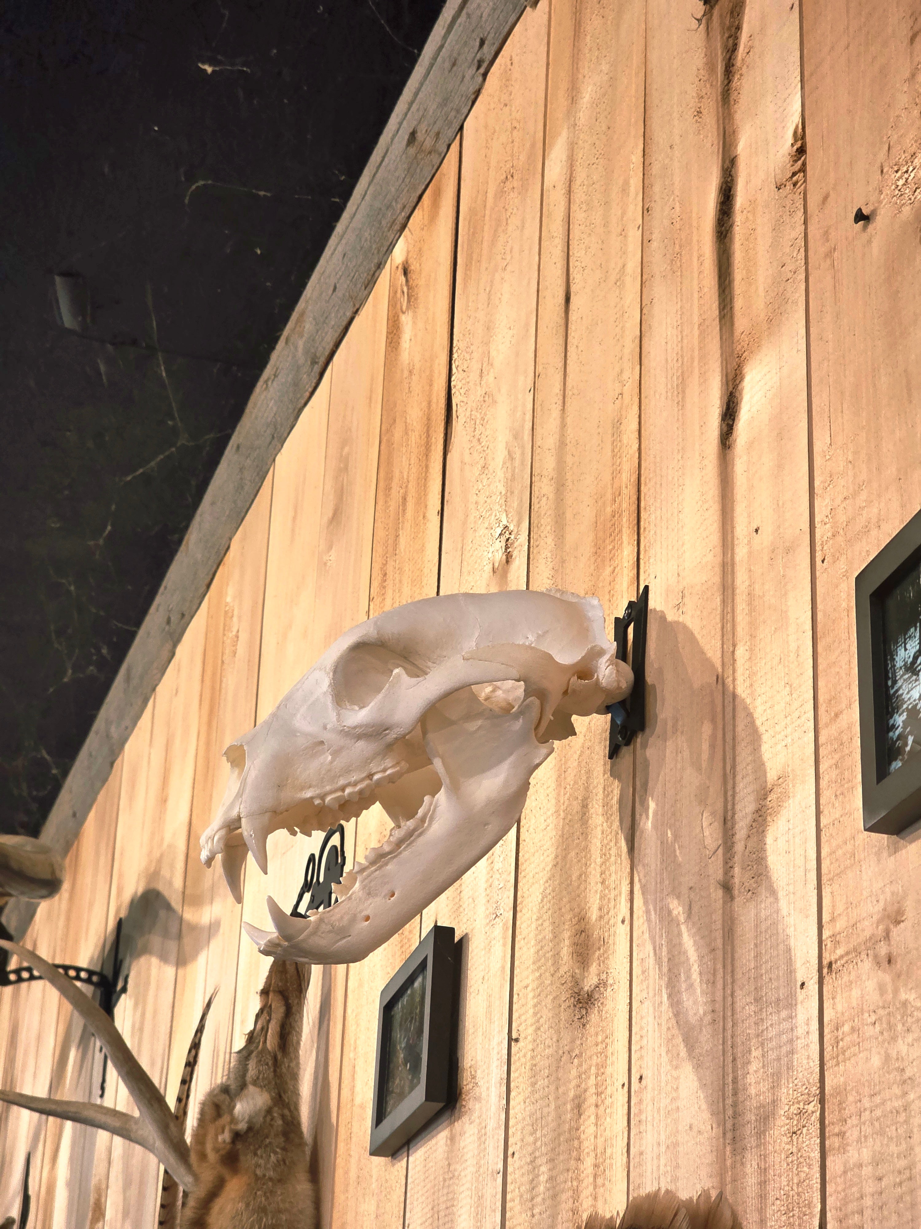 Original - Skull Hanger