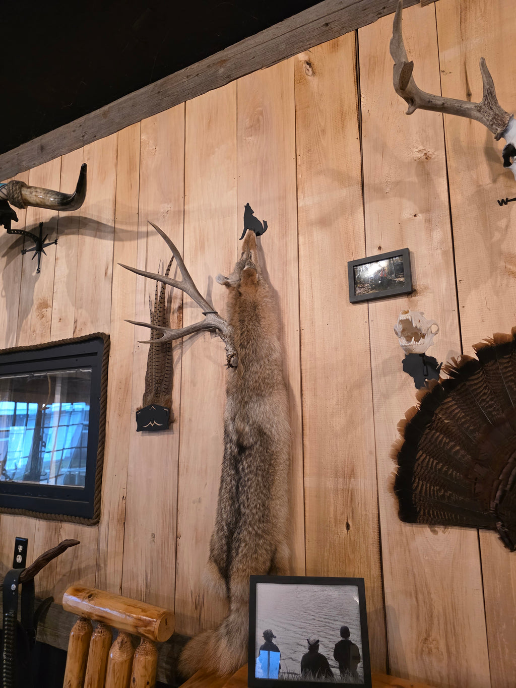 Coyote - Fur Hanger