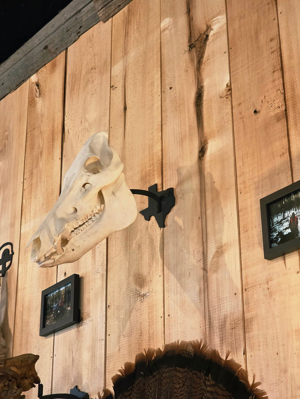 Texas - Swivel Skull Hanger