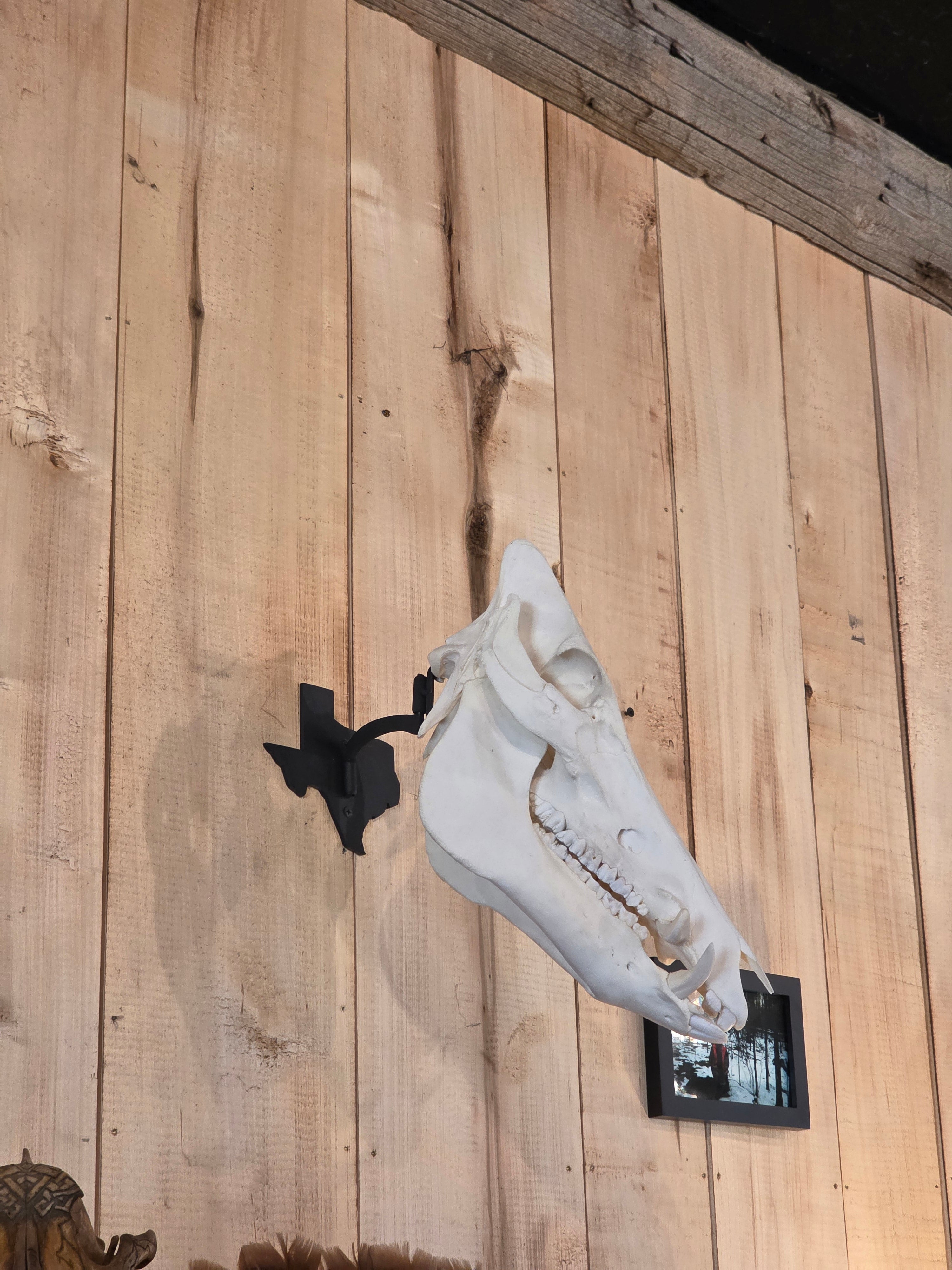 Texas - Swivel Skull Hanger