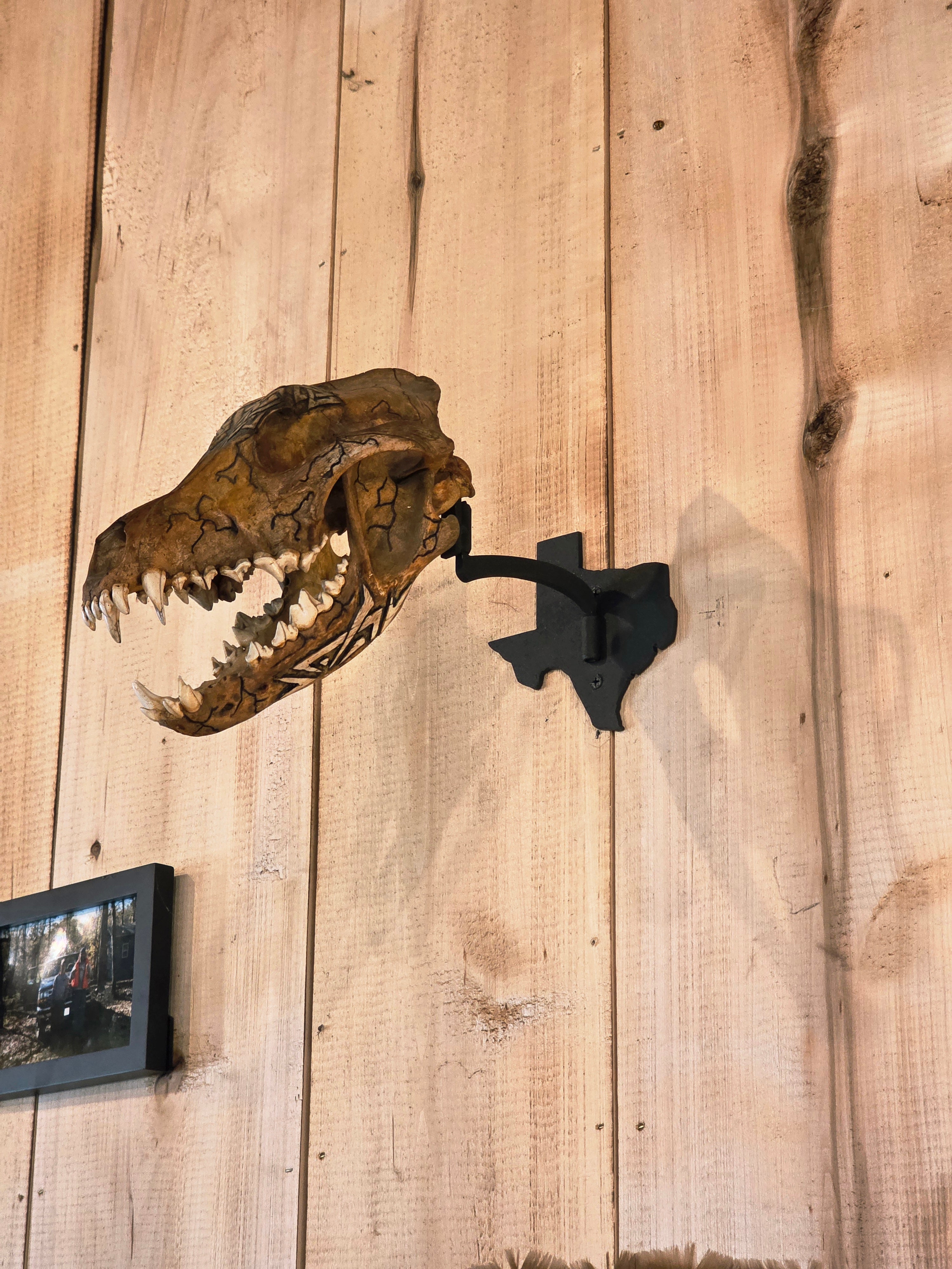 Texas - Swivel Skull Hanger