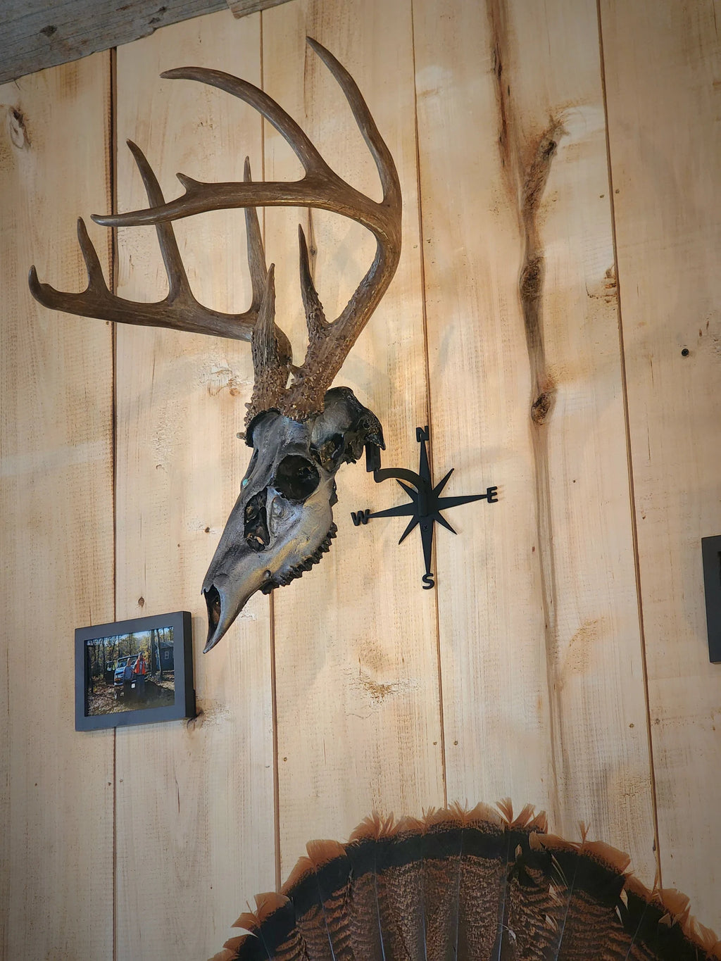 Compass - Swivel Skull Hanger