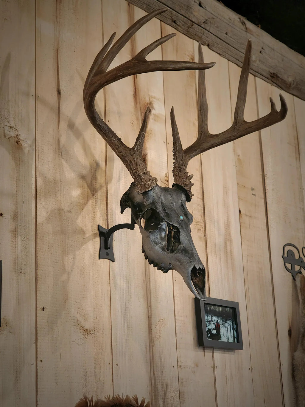 Original - Swivel Skull Hanger