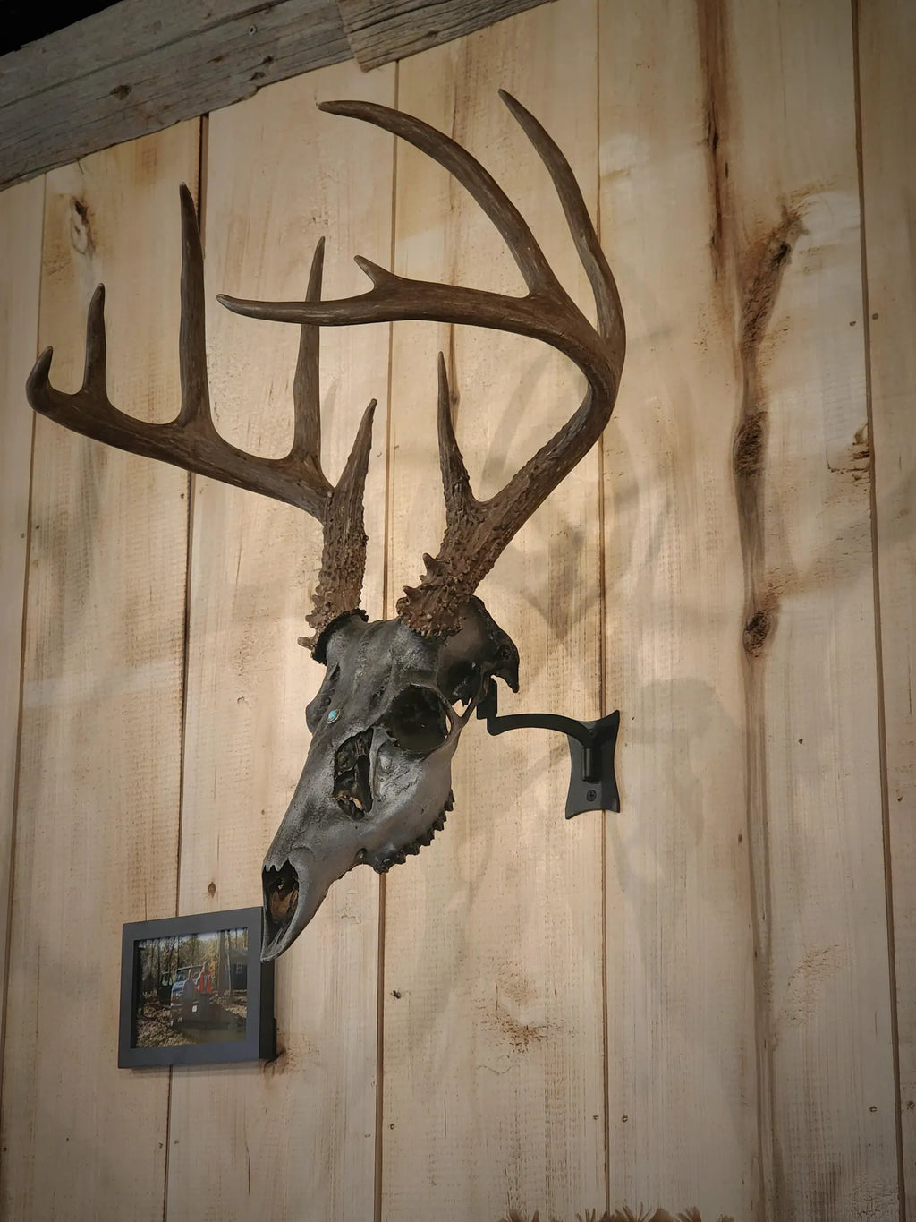 Original - Swivel Skull Hanger