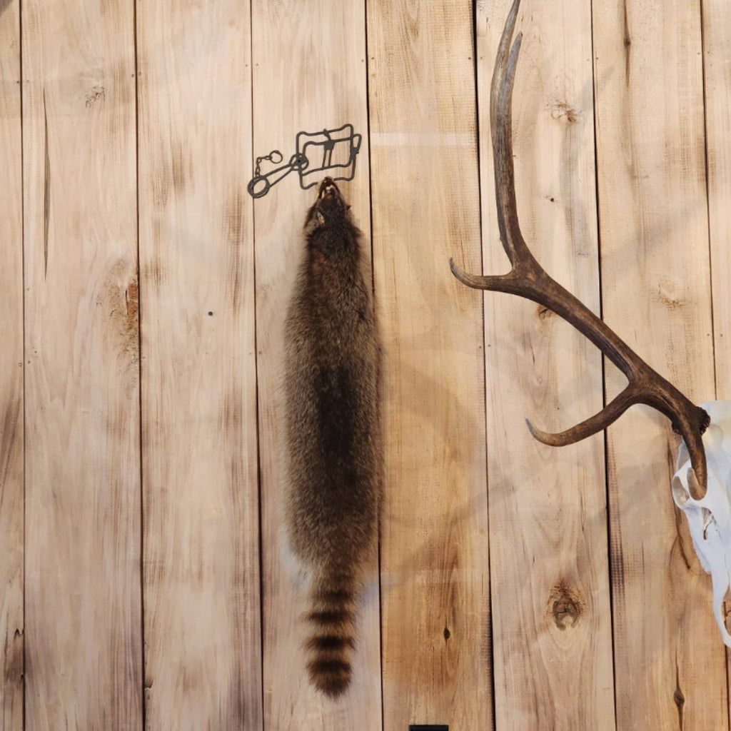 Conibear - Fur Hangers