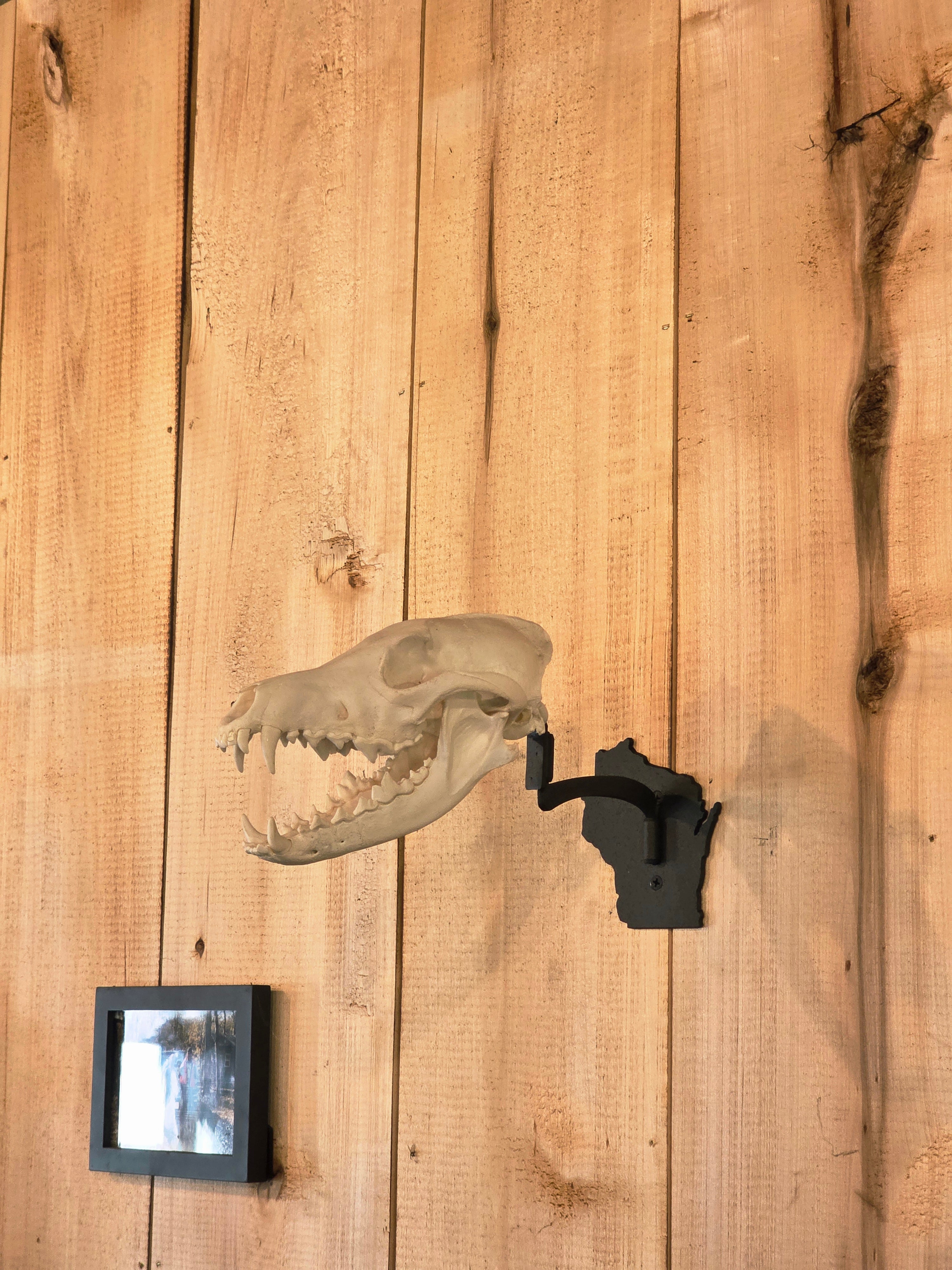 Wisconsin - Swivel Skull Hanger