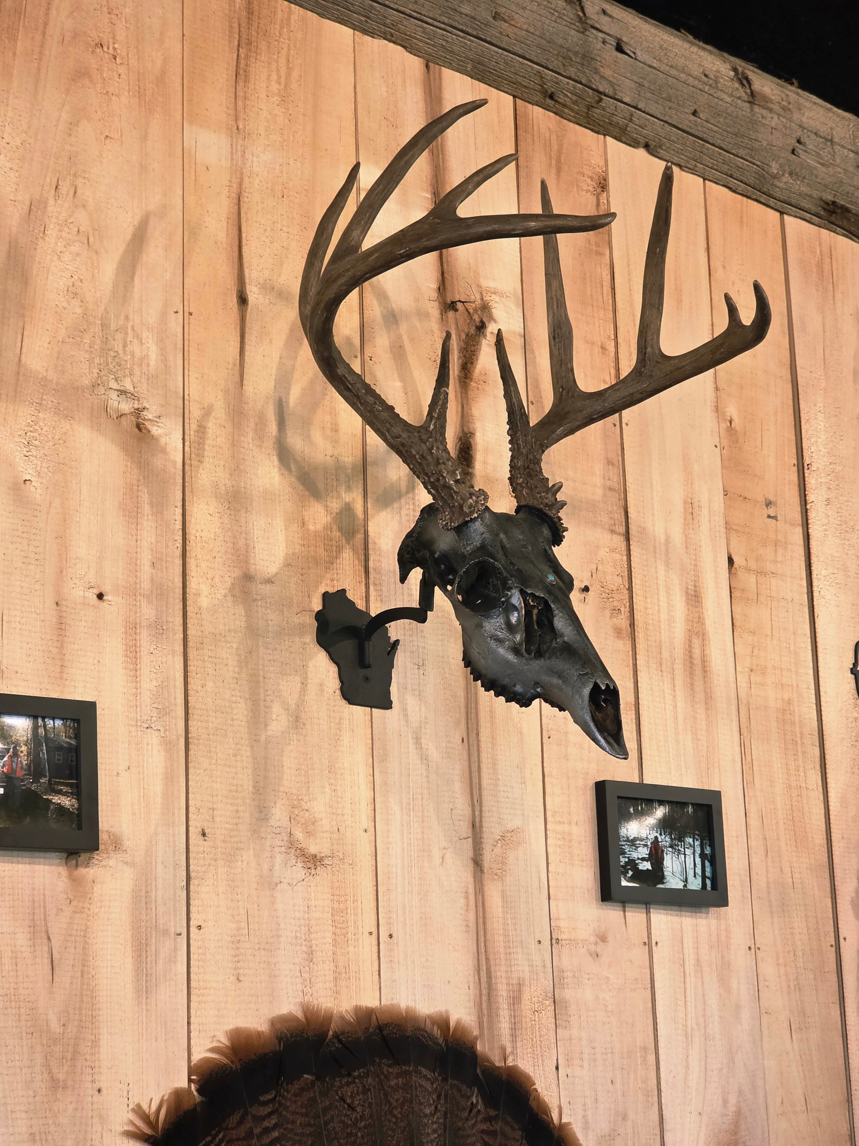 Wisconsin - Swivel Skull Hanger